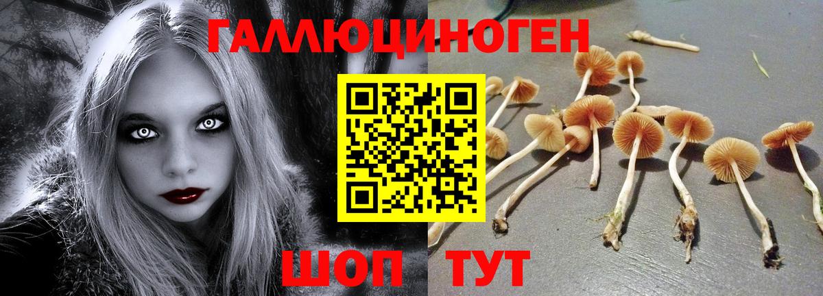 Галлюциногенные грибы Magic Shrooms  Вход с VPN  Кулебаки 